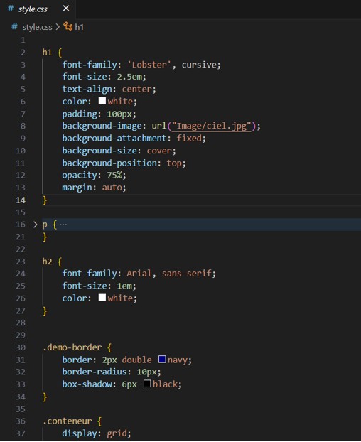 Capture d'écran du projet HTML-CSS
