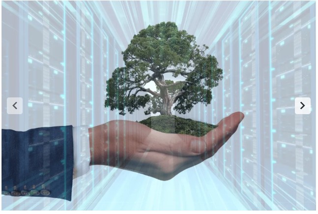 Image du stage 2024-2025