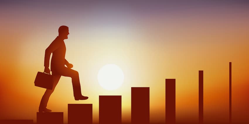 Parcours professionnel